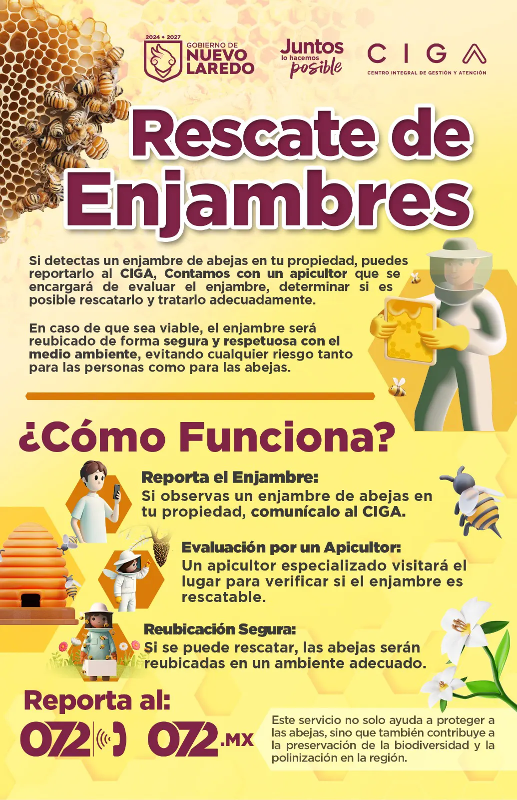 Flyer 1